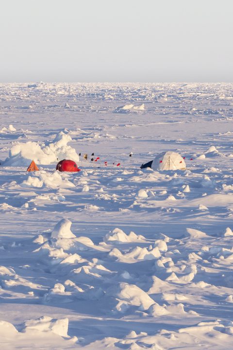 Outpost Antarctica