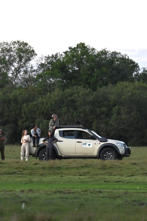 Tracking Tapir in the Pantanal