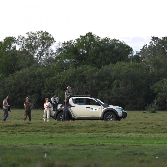 Tracking Tapir in the Pantanal